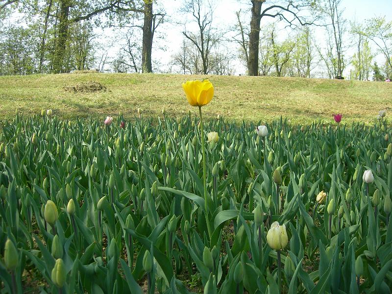 Giornate della solidariet&agrave;